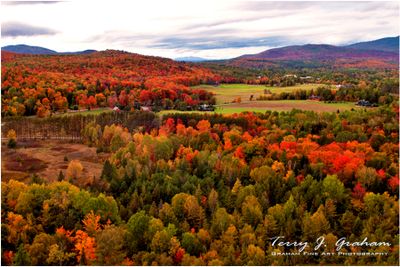 Fall Colours
