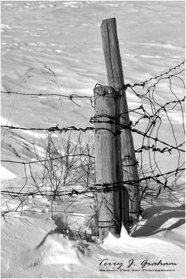 Fence Post in the Snow