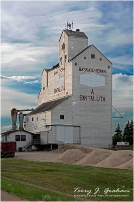 Sintaluta Elevator