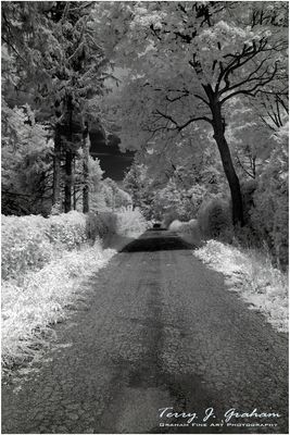 Road to the Graveyard