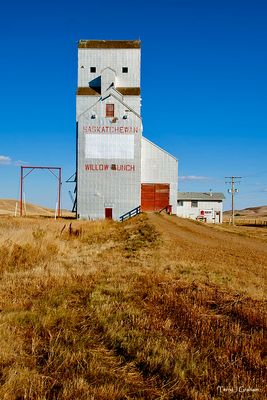 Willow Bunch