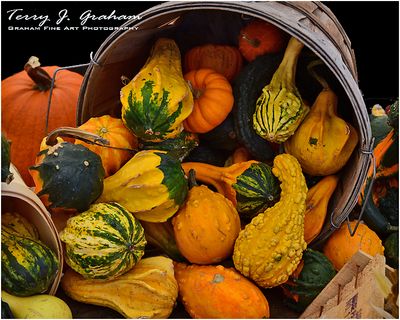 Gourds