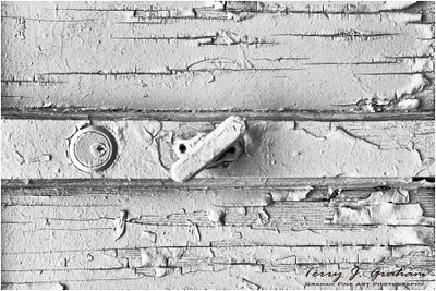 Old Paint on a Door