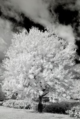_DSC5891.jpg