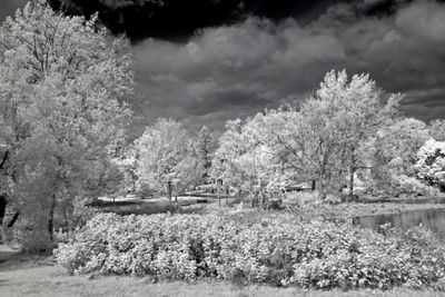 Infrared Images