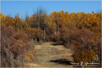 White Butte