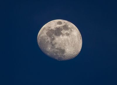 Evening Moon