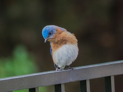 g13/20/42620/3/175070205.d5d59fc2.JPEG