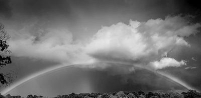 Monochrome Images