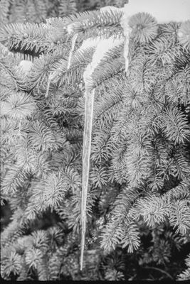 g13/20/42620/3/175287947.52f7e781.JPEG