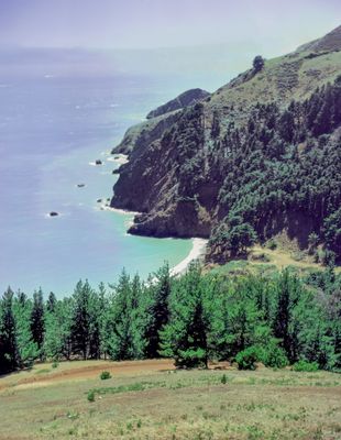 CA Coastline