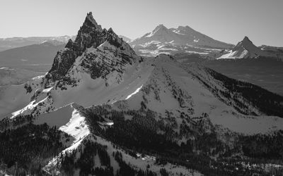 ThreeFingeredJack_011913_01-13.JPG
