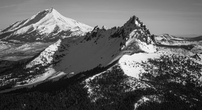 ThreeFingeredJack_011913_14-14.JPG