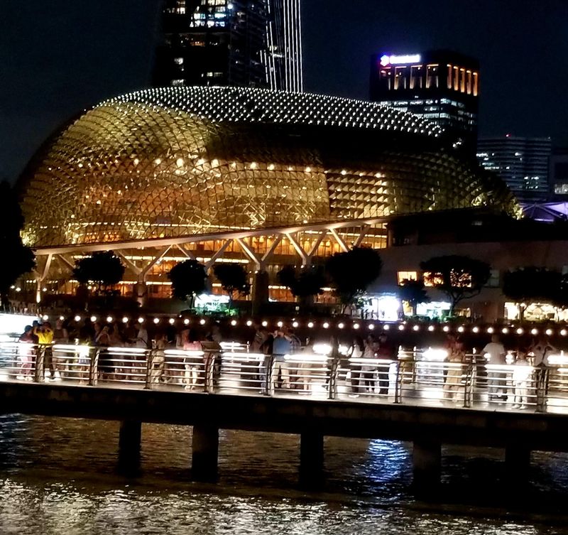 Some natives call the Esplanade buildings the durians after the spikey fruit.  I call them the microphones.
