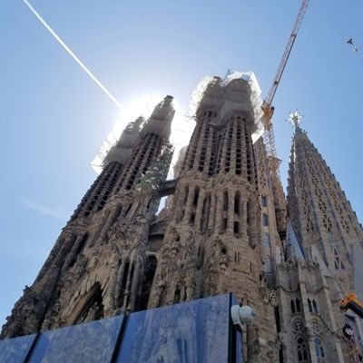 Scaffolding & plastic guards on Sagrada