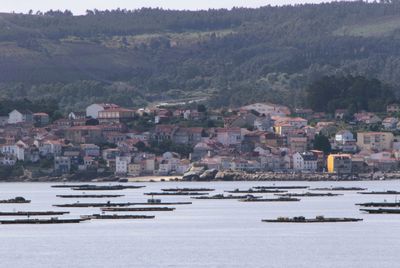 Mussel beds and town