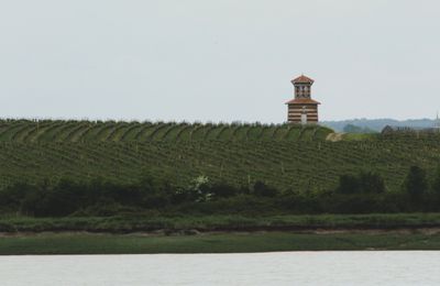  Occasionally you could see vineyards, especially in the Medoc region. Here's Chateau Loudenne (Medoc region)