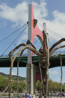 Salve & Spider