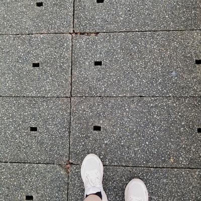 Holes in sidewalks to catch frequent rain - smart!