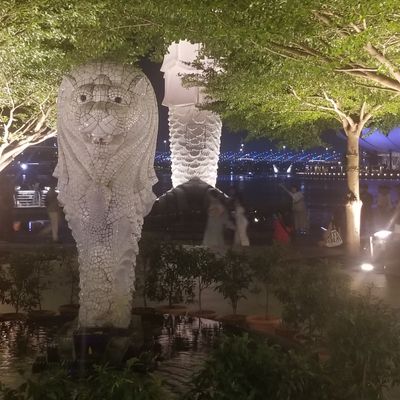 First night, we went to waterfront to catch a light show on the river. We found Merlion Jr. but no light show. Not sure why.