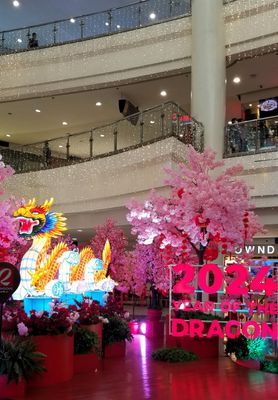  After lunch I took shuttle to Robinson Mall. It was decorated for the Year of the Dragon.