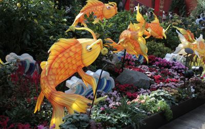Fishes, Flower Dome