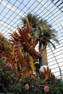 A natural dragon at the Flower Dome