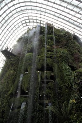 We went to the Cloud Forest at Gardens by the Bay - Wow!