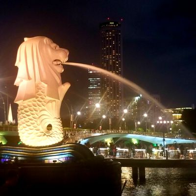 Merlion on waterfront at night