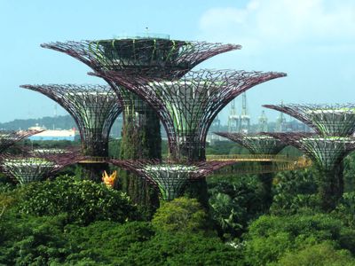 Gardens by Bay Supertrees from Skypark at Marina Sands Hotel complex