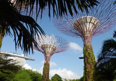 Supertrees in the day time
