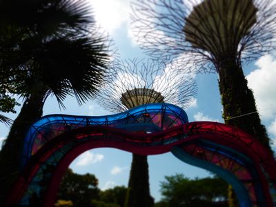 Supertrees with colored ribbons