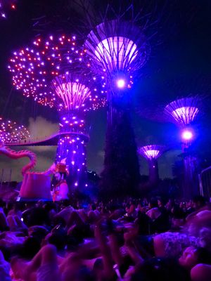  View from my spot on the ground at Gardens by Bay Rhapsody show