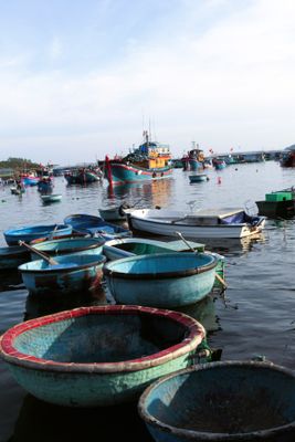 Lots of coracles near the waterfront