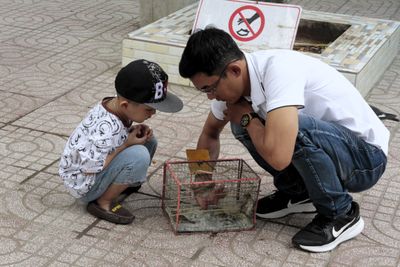 Visitors were buying & releasing birds to gain merit