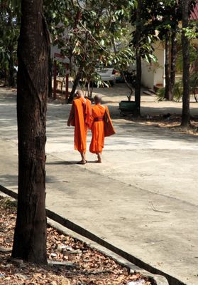 Monks walking in Wat Krom complex