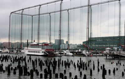 Pilings are everywhere in the waters around the west side of lower Manhattanthe Hudson.