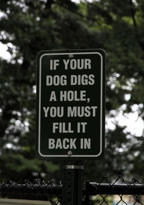 Outside the dog park 