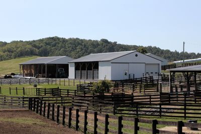 Next morning, Howard went to play golf & I headed to tour a huge ranch