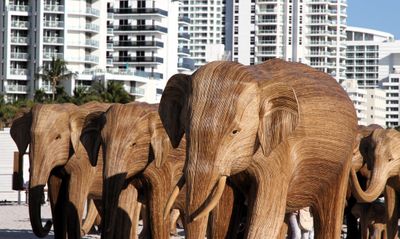The elephants were a big hit at Miami's Art Week
