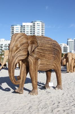One elephant. Elephants are made from an invasive grass. 