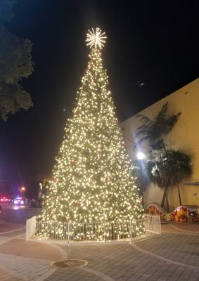  Christmas tree Calle Ocho near Domino Park