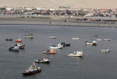 Few cruise ships come here. Our ship made its way between lots of small boats & birds