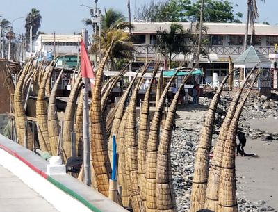 Totaro reed boats on beach