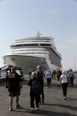  Marina in port