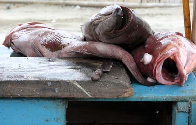 Tuna is king in Manta, and some gets sold at the local market