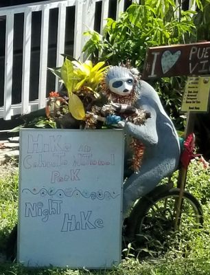 g13/20/470720/3/175146983.51c6b114.JPEG