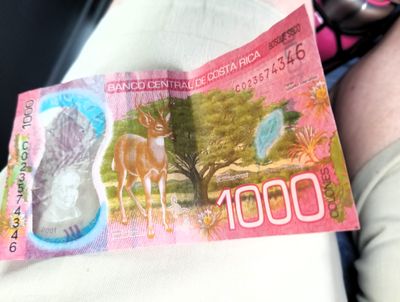 Had lunch in Viejo where could sample coffee, buy souvenirs, get local money back.
