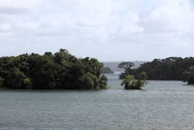 Gatun Lake had some pretty scenery with mini islands (lake 1130a)