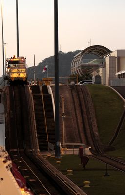 Mule tied to ship in Miraflores locks 630p